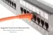 Cat6A Ethernet Patch Cable, Half-moon Boot, UTP, 20 ft, Orange