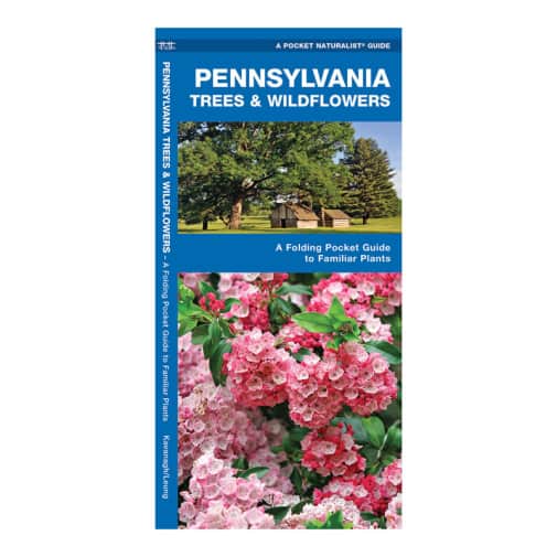Pennsylvania Trees & Wildflowers
