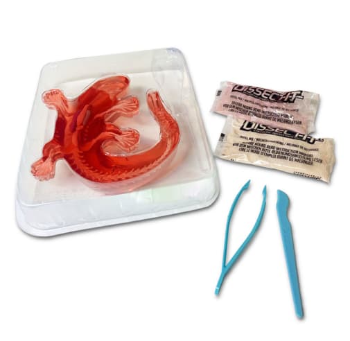 Dissect-It Salamander Lab