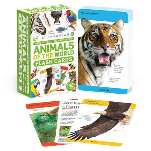 Our World in Pictures Animals of the World Flash Cards