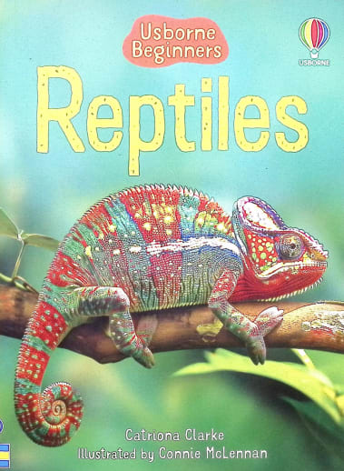 Reptiles (Usborne Beginners)
