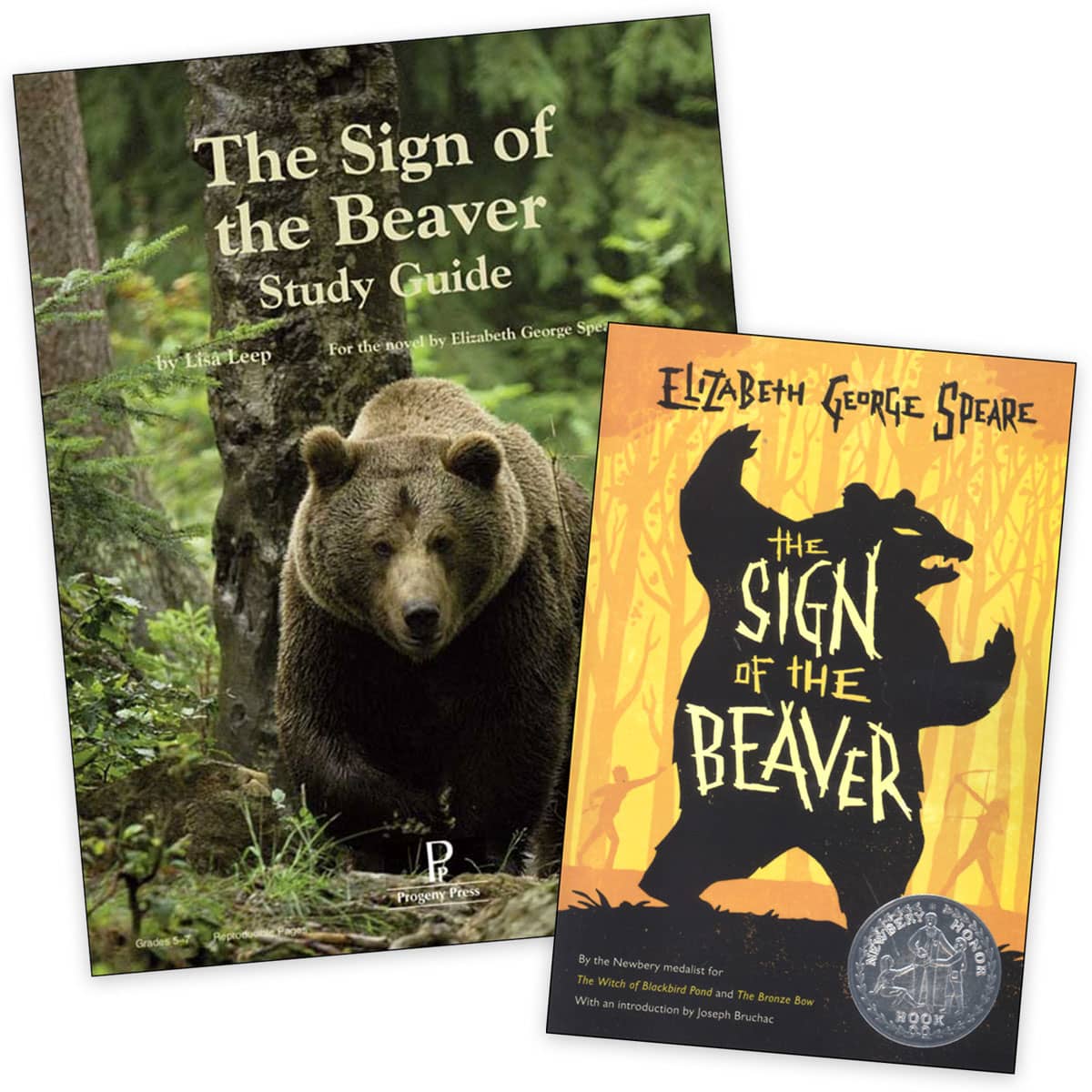 Progeny Press Sign of the Beaver Set