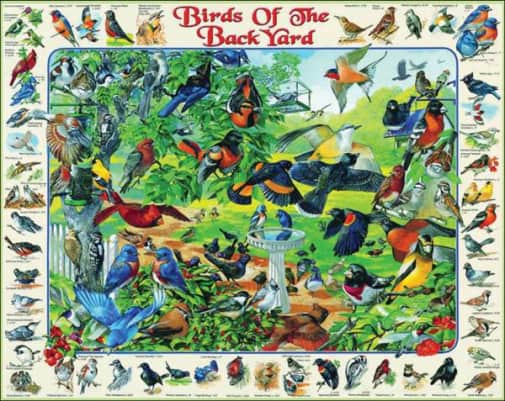 White Mountain Birds of the Backyard Puzzle - 1000 pc.