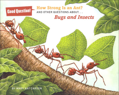 How Strong Is an Ant? And Other Questions About Bugs and Insects (Good Questions!)