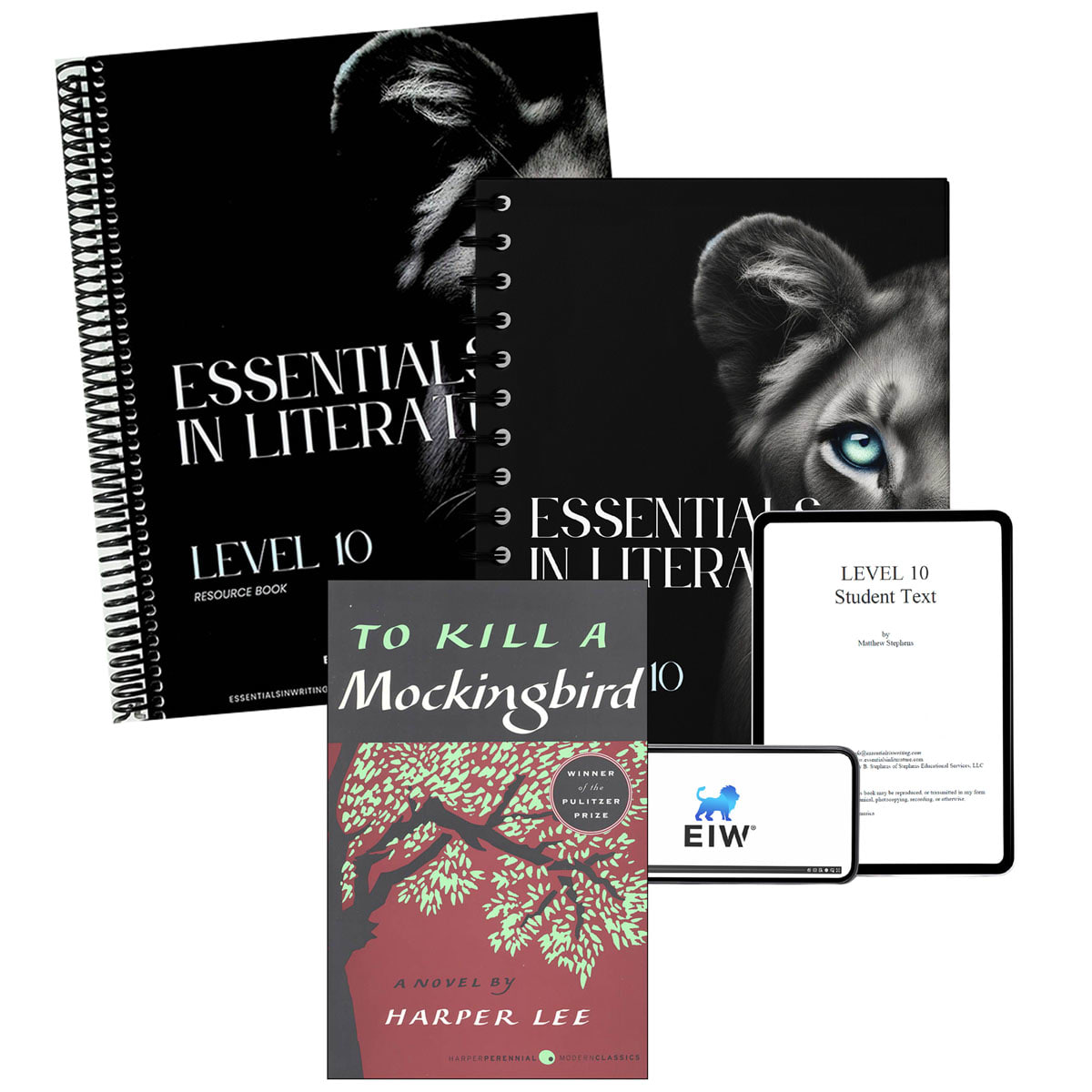 Essentials in Literature Level 10 Bundle (Textbook, Resource Book, Novel, and Online Video Subscription)