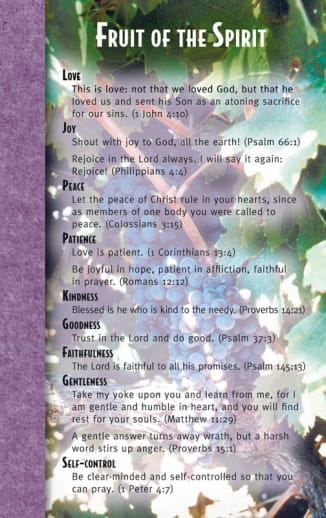 Fruit of the Spirit Mind & Heart Memory Card