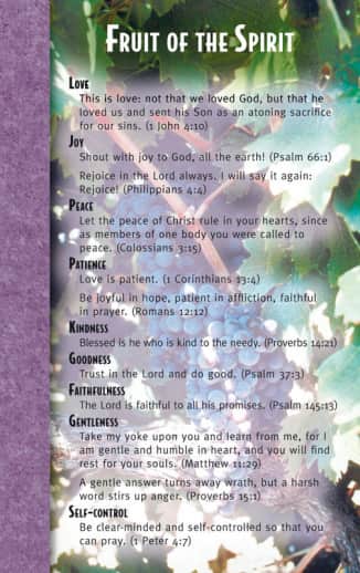 Fruit of the Spirit Mind & Heart Memory Card