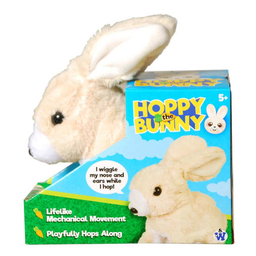 Hoppy the Bunny