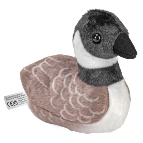 Audubon Bird: Canada Goose with Bird Call