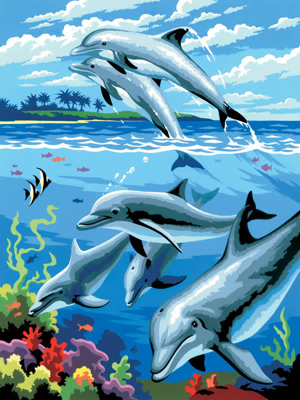 Painting By Numbers - Dolphins (Junior Small)