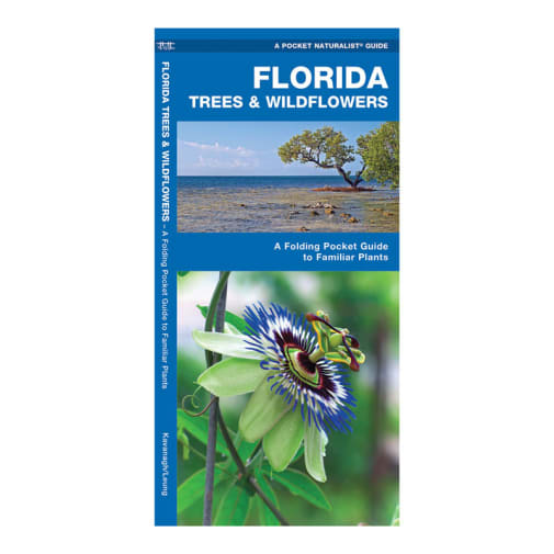 Florida Trees & Wildflowers