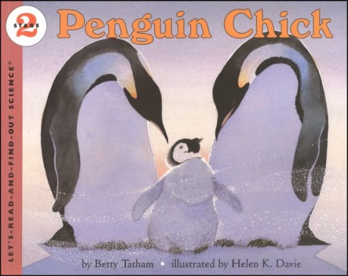 Penguin Chick (LRAFOS L2)