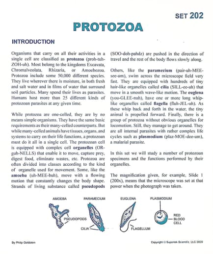 Protozoa Microslide Lesson Set