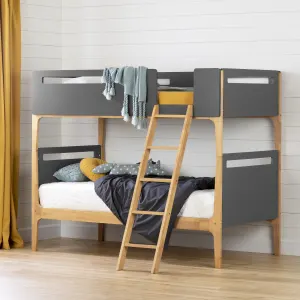 Modern Bunk Bed