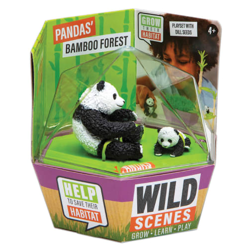 Wild Scenes Pandas' Bamboo Forest