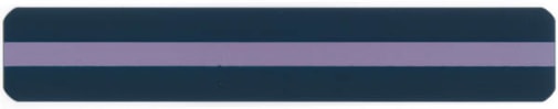 Purple Reading Guide Strip