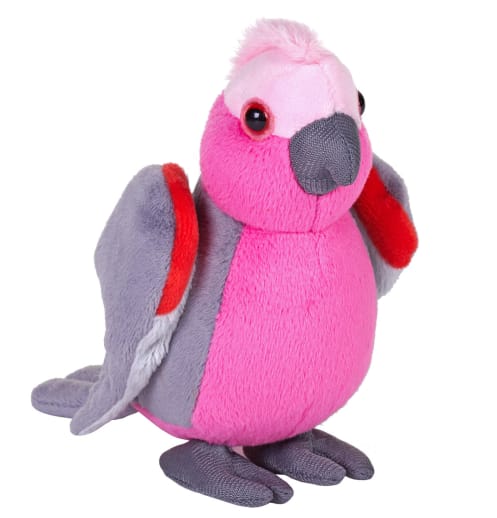 Pocketkins-Eco Kookaburra 5" Plush