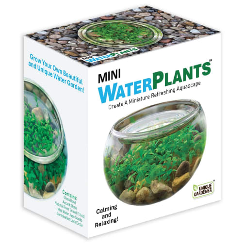 Mini Waterplant
