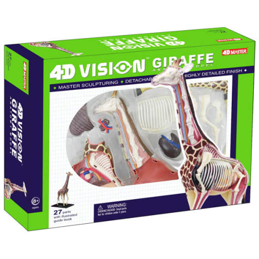 4D Vision Giraffe Anatomy Model