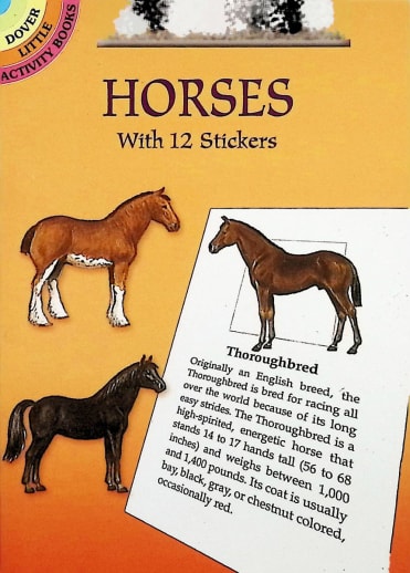 Learning About Horses