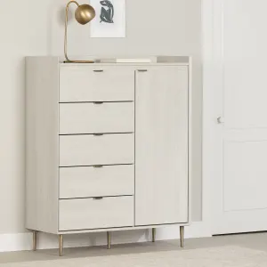 Door Chest with 5 Drawers