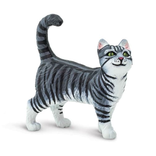 Gray Tabby Cat (Best in Show)