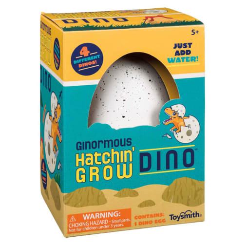 Hatchin' Grow Dino (assorted styles)