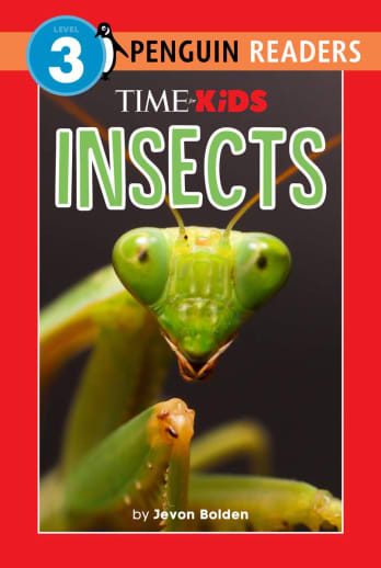 Time for Kids Insects