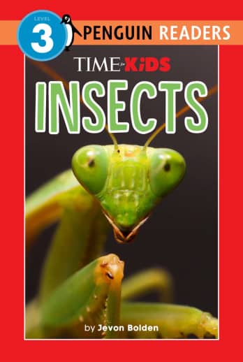Time for Kids Insects
