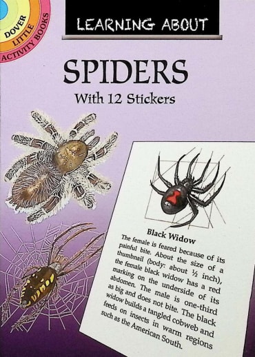 Learning About Spiders