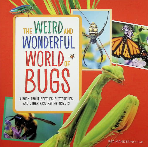 Weird and Wonderful World of Bugs