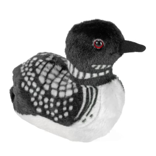 Audubon Bird: Common Loon with Bird Call