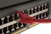 CAT6A Shielded Ethernet Patch Cables, Snagless, 1 ft, Red