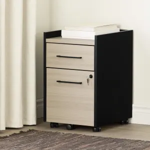 2-Drawer Mobile File Cabinet With Lock