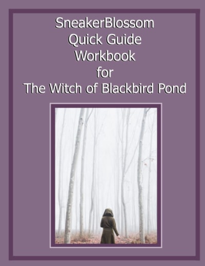 SneakerBlossom Quick Guide Workbook for the Witch of Blackbird Pond