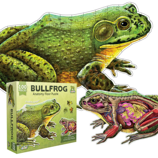 Frog Animal Anatomy Floor Puzzle (100 pieces)