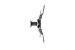 Full Motion TV Wall Mount for 13-42in TVs, 200x200 VESA, 2.9in Arm Extension