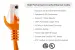 Cat5e Ethernet Patch Cable, Snagless, UTP, 7 ft, Orange