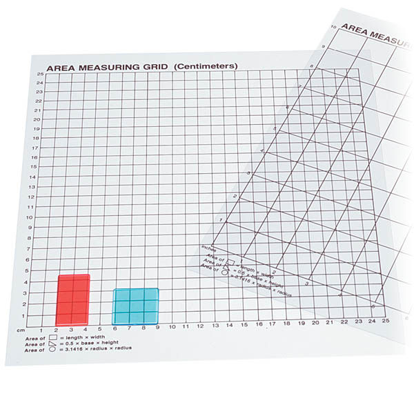 Graphing Grid (Large Squares) Wipe-Off Chart, 17