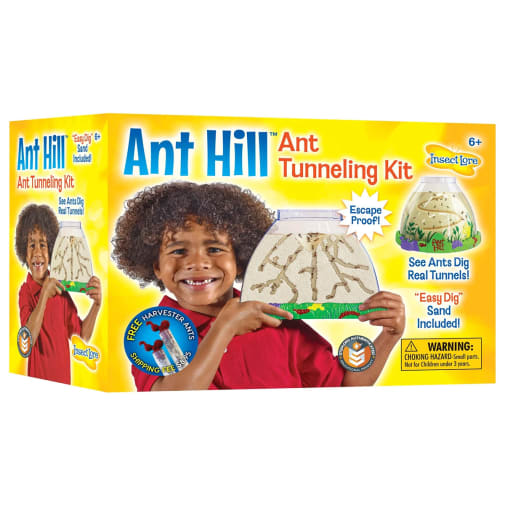 Ant Hill Ant Tunneling Kit | Insect Lore