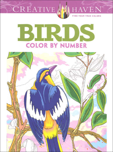 Birds Color by Number Book