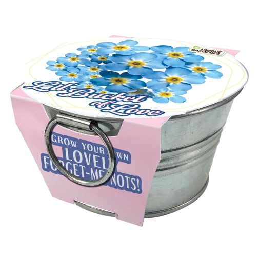 Lil Bucket of Love