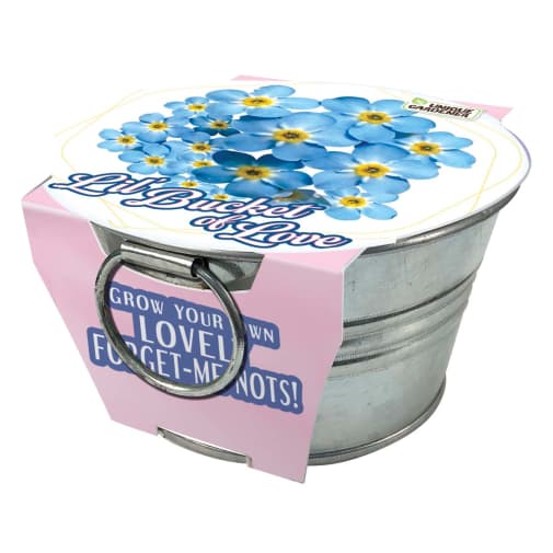 Lil Bucket of Love