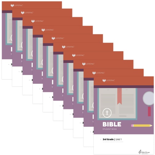 Bible 3 Lifepacs Only