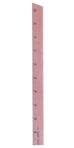 Primary Wood Ruler: 1" Increments