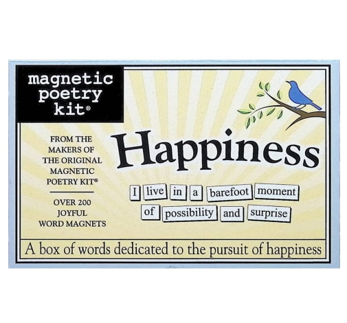 Happiness Magnetic Poetry Kit