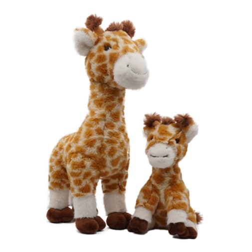 Giraffe with Baby