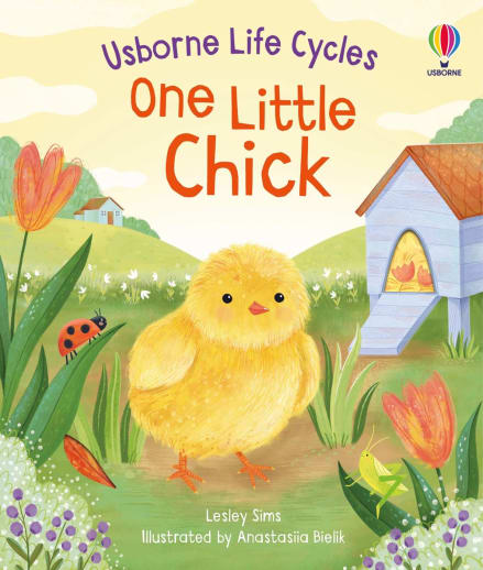 One Little Chick (Usborne Life Cycles)