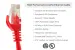 Cat5e Ethernet Patch Cable, Snagless, UTP, 1 ft, Red