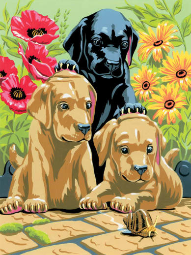 Painting By Numbers - Labrador Puppies (Junior Small)